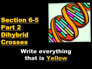 Section 6-5 Part 2 Dihybrid Crosses