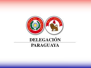 DELEGACIÓN PARAGUAYA