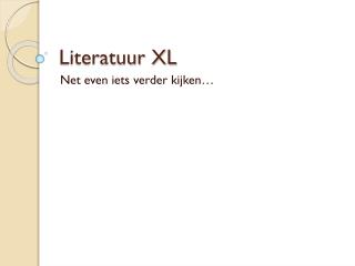 Literatuur XL
