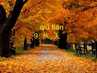 qiū tiān 9 秋 天
