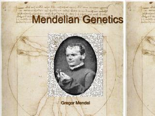 Mendelian Genetics