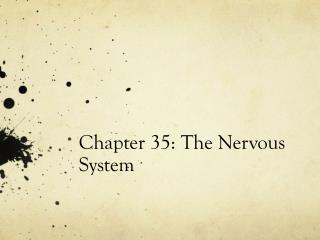 Chapter 35: The Nervous System