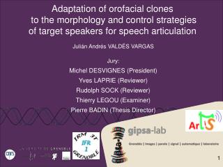 Adaptation of orofacial clones to the morphology and control strategies