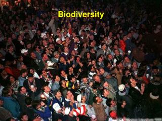 Biodiversity