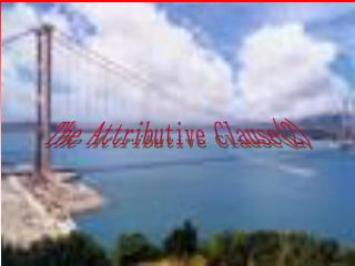 The Attributive Clause(2)