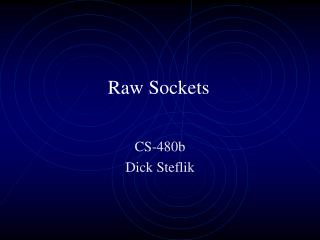 Raw Sockets