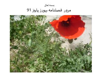 بسمه تعالی مرور فصلنامه بهورز پاییز 91