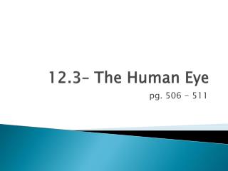 12.3– The Human Eye