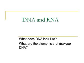 DNA and RNA