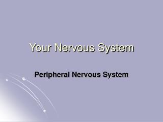 Your Nervous System