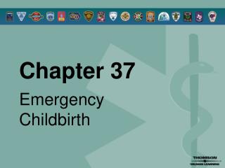 Chapter 37