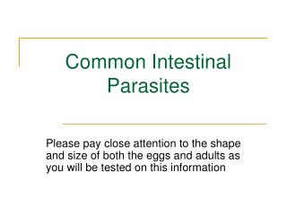 Common Intestinal Parasites