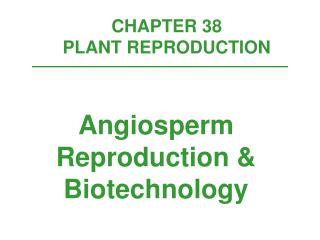 CHAPTER 38 PLANT REPRODUCTION