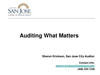 Auditing What Matters