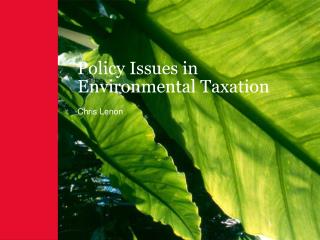 Policy Issues in Environmental Taxation