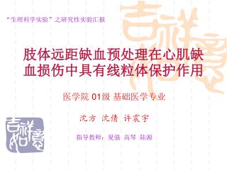 肢体远距缺血预处理在心肌缺血损伤中具有线粒体保护作用
