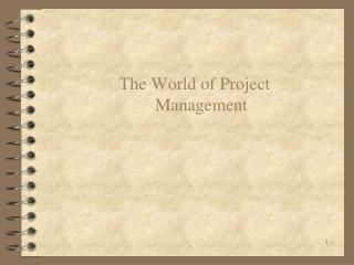 The World of Project Management