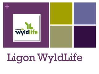 Ligon WyldLife