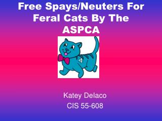 Free Spays/Neuters For Feral Cats By The ASPCA