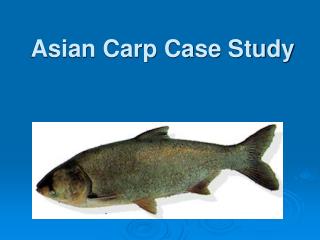 Asian Carp Case Study