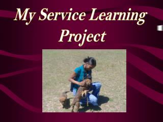 My Service Learning Project