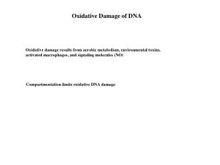 Oxidative Damage of DNA