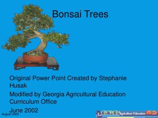 Bonsai Trees