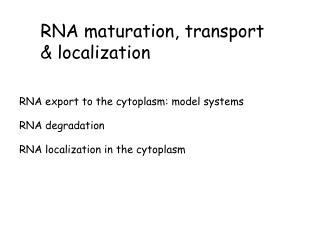 RNA export to the cytoplasm: model systems