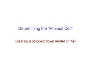 Determining the “Minimal Cell”