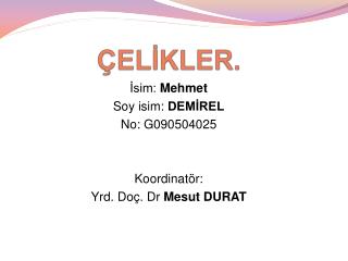 ÇELİKLER.