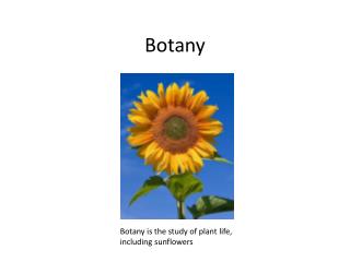 Botany