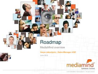 Roadmap