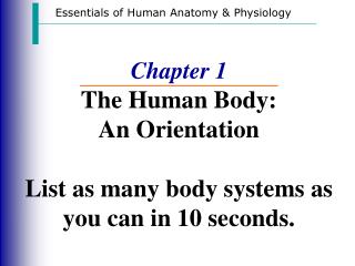 Chapter 1 The Human Body: An Orientation List as many body systems as you can in 10 seconds.