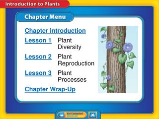 Chapter Menu