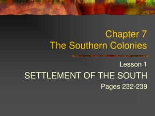 Chapter 7 The Southern Colonies