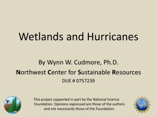 Wetlands and Hurricanes