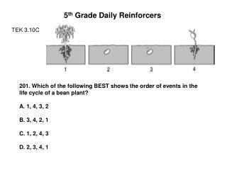 5 th Grade Daily Reinforcers TEK 3.10C