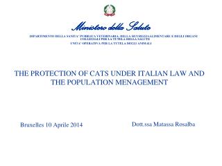 THE PROTECTION OF CATS UNDER ITALIAN LAW AND THE POPULATION MENAGEMENT