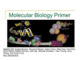 Molecular Biology Primer