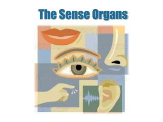 The Sense Organs