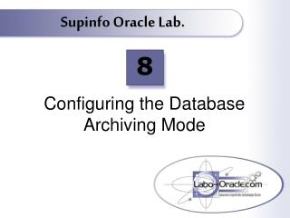 Configuring the Database Archiving Mode