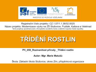 TŘÍDĚNÍ ROSTLIN