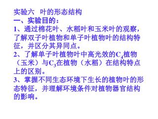 四、实验步骤 1 、双子叶植物叶的观察。 取棉花叶永久制片置显微镜下观察。双子叶植物棉花叶为异面叶，上下表皮中气孔的分布数目有差异，叶肉在靠近两个不同的表面有不同结构和形式，叶脉埋藏于叶肉之中。