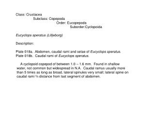 Class: Crustacea 	 Subclass: Copepoda 	 	 Order: Eucopepoda