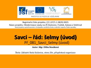 Savci – řád: šelmy (úvod)