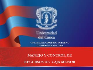 MANEJO Y CONTROL DE RECURSOS DE CAJA MENOR