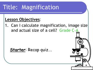 Title: Magnification