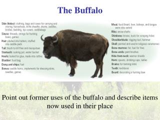 The Buffalo