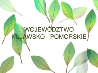 WOJEWÓDZTWO KUJAWSKO - POMORSKIE