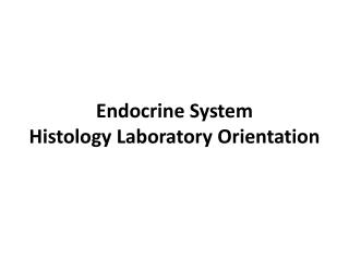 Endocrine System Histology Laboratory Orientation